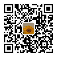 China Custom CNC Precision Machining Factory - ZHUOHANG